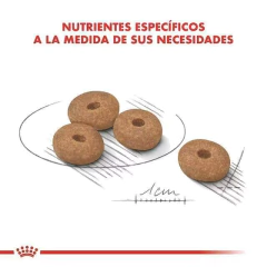 ROYAL CANIN | MINI WEIGHT CARE - Oh! Can Pet Shop y Veterinaria