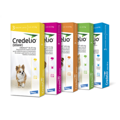 CREDELIO | ANTIPULGAS Y GARRAPATAS