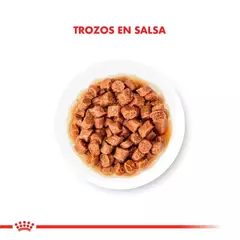 ROYAL CANIN | KITTEN POUCH - Oh! Can Pet Shop y Veterinaria