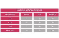 UNIK CAT | GATO URINARY en internet