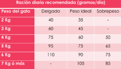 UNIK CAT | GATO ADULTO en internet