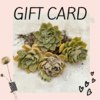 GIFT CARD tres variantes