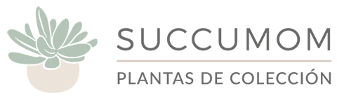 Succumom