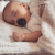 CHUPETES BIBS (Pack x2) - comprar online