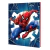 Cuaderno Spiderman 16 X 21 T/D 48 Hjs 4 - comprar online