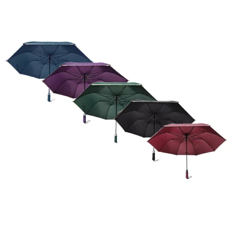 Paraguas Pierre Cardin Largo Pcpa17 - comprar online