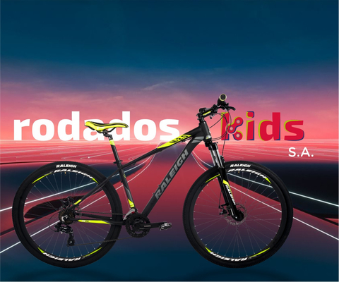 MTB R29 MOJAVE 2.0 RALEIGH