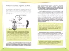 Libro Cultivo de Plantas Nativas - Cecilia Eynard - comprar online