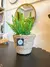 CESTO DE SEAGRASS (2 MEDIDAS) - tienda online