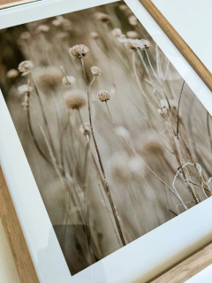 CUADRO PAMPA GRASS 5 32X42 - comprar online