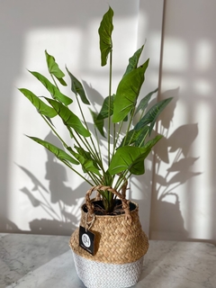 PLANTA ARTIFICIAL 50CM