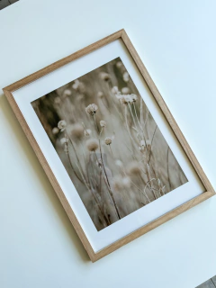 CUADRO PAMPA GRASS 5 32X42