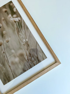 CUADRO PAMPA GRASS 5 32X42 - DecoHome