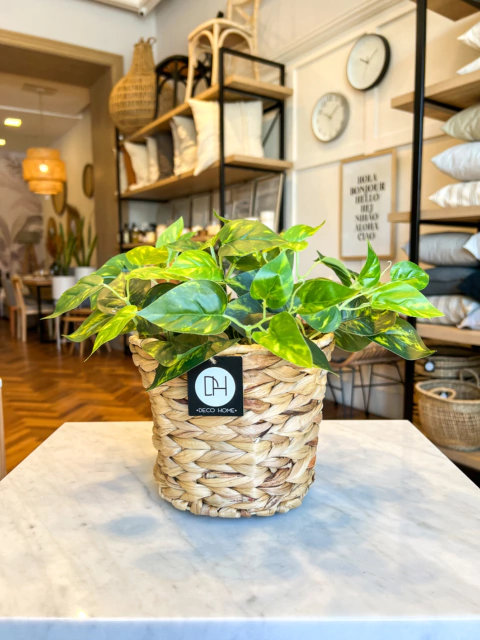 CESTO DE SEAGRASS 19X15