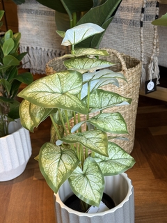 PLANTA ARTIFICIAL CIGONIO 50CM - DecoHome