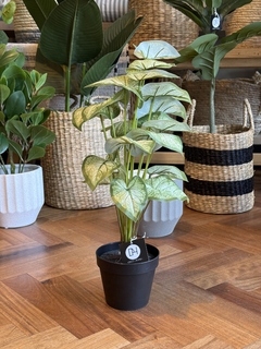 PLANTA ARTIFICIAL CIGONIO 50CM - comprar online