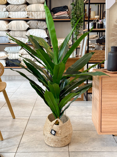 PLANTA ARTIFICIAL DRACAENA 1,20 MTS en internet