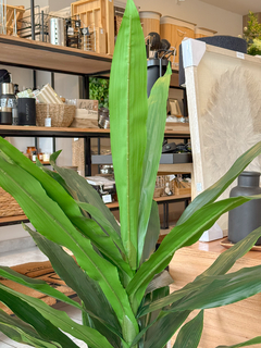 PLANTA ARTIFICIAL DRACAENA 1,20 MTS - tienda online