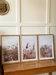 TRIPTICO CUADROS PAMPA GRASS 7, 8 Y 9 40X60 - comprar online