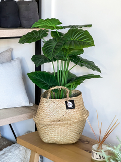 PLANTA ARTIFICIAL ALOCASIA 70CM - comprar online