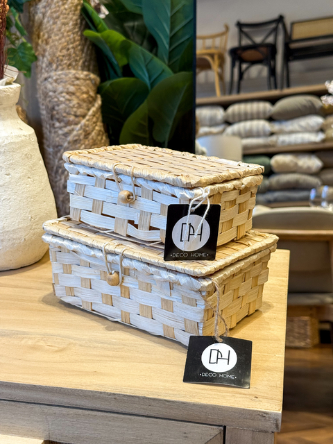 CAJA SALVIA (2 medidas) - comprar online