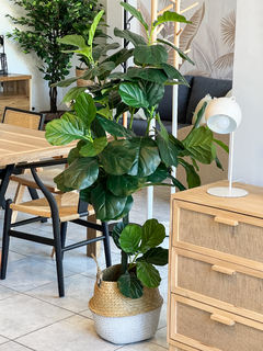 FICUS PANDURATA ARTIFICIAL 1,70MTS