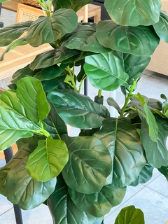 FICUS PANDURATA ARTIFICIAL 1,70MTS - comprar online