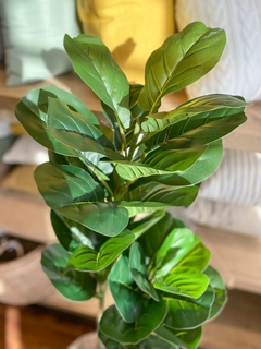 FICUS PANDURATA ARTIFICIAL 1,50 MTS - comprar online