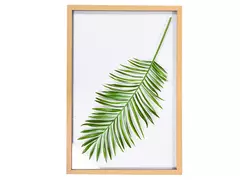 Imagen de CUADRO HOJA PALMERA MODELO 3 42X52