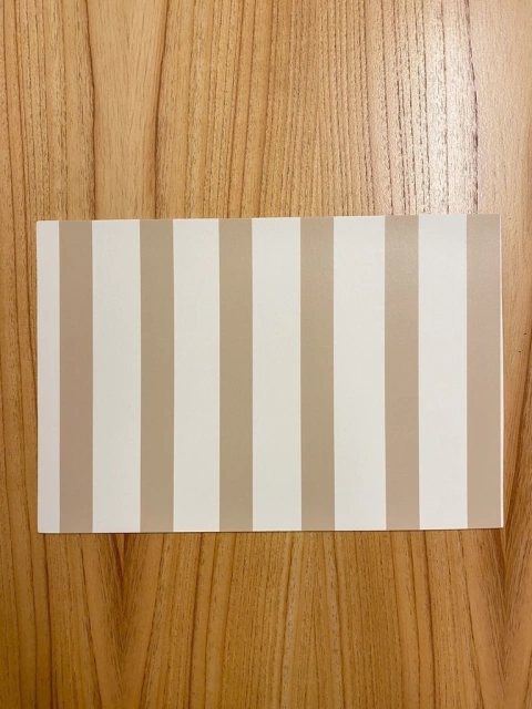 INDIVIDUAL RECTANGULAR RAYAS CHAMPAGNE