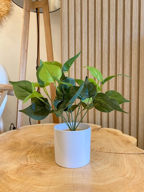 PILEA ARTIFICIAL 30CM