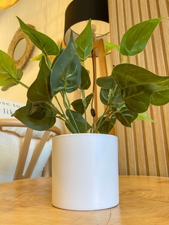 PILEA ARTIFICIAL 30CM en internet