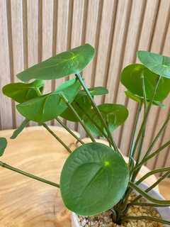 PLANTA ARTIFICIAL BLANCA 25CM - comprar online