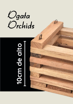 Canastas de Madera 10x10 - comprar online