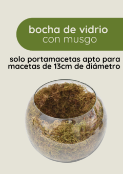 Bocha de vidrio