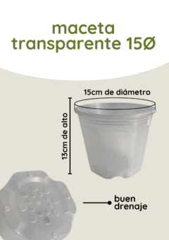 Maceta transparente Ø15