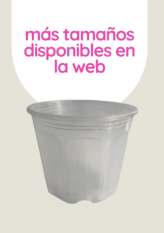 Maceta transparente Ø19 - comprar online