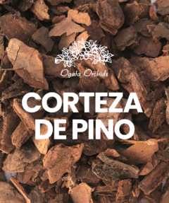 Corteza de Pino