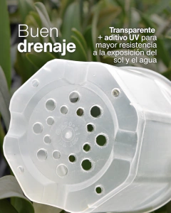 Maceta transparente Ø13 en internet