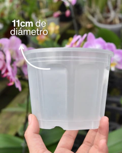 Maceta transparente Ø11 - comprar online