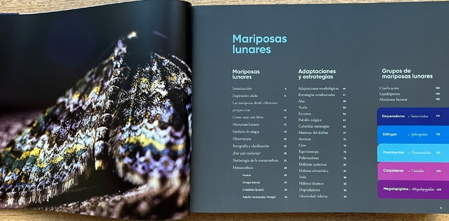 Imagen de Mariposas solares y lunares de la Argentina