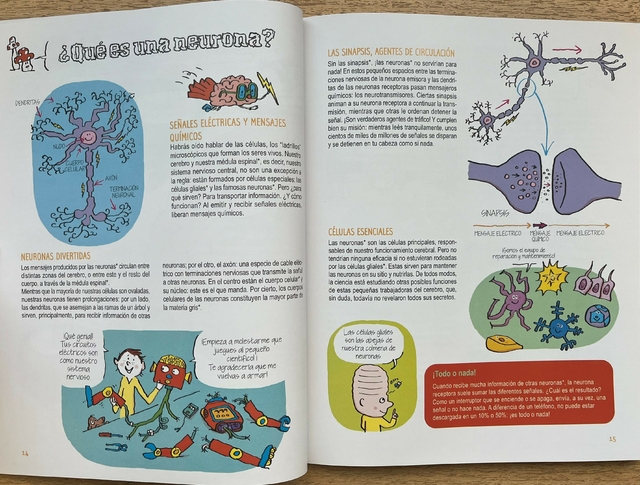 El cerebro para curiosos - Editorial Albatros