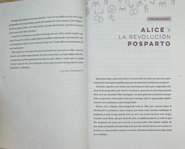 La guía para sobrevivir al posparto (¡y no colapsar en el intento!) - tienda online