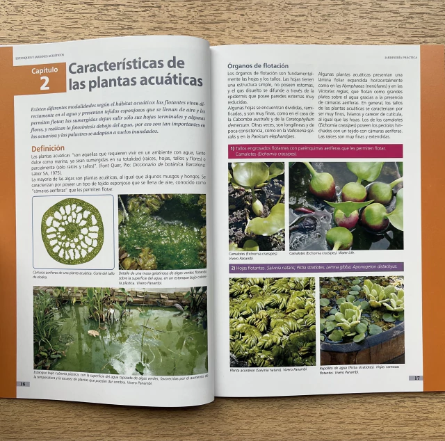 Imagen de Estanques y jardines acuáticos