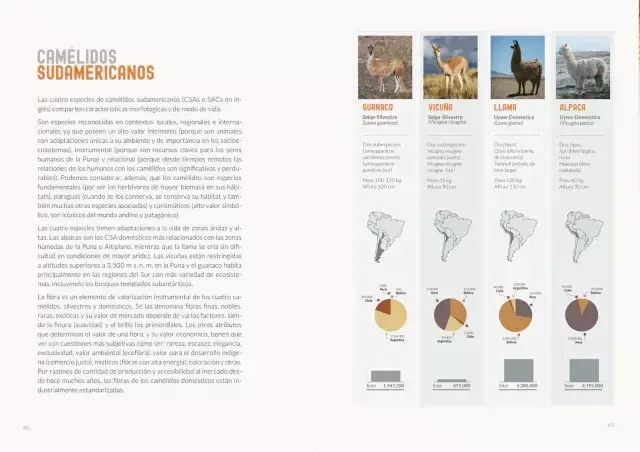Camélidos de la Puna - comprar online