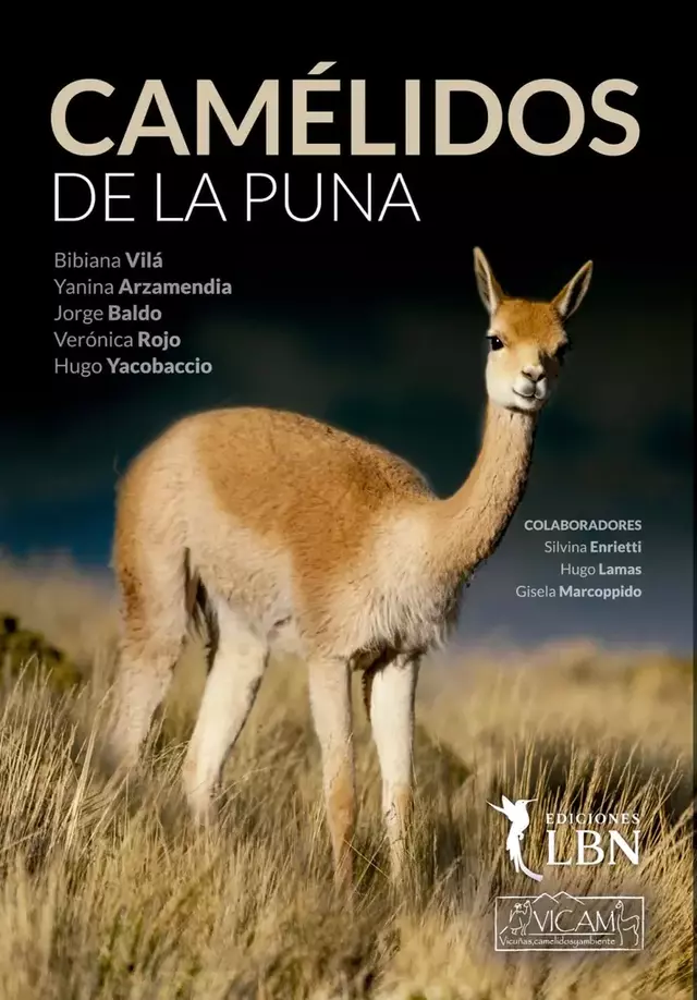 Camélidos de la Puna en internet