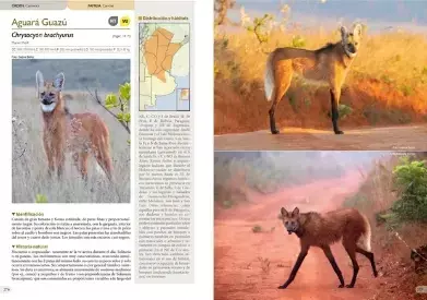 Mamíferos de Argentina - tomo 2 - comprar online