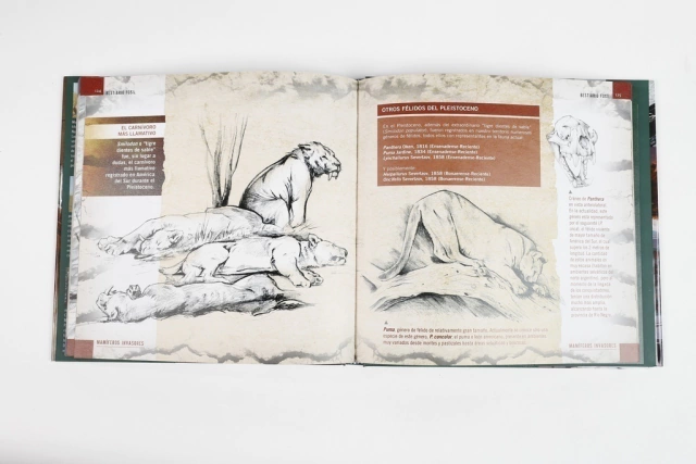 Bestiario Fósil en internet