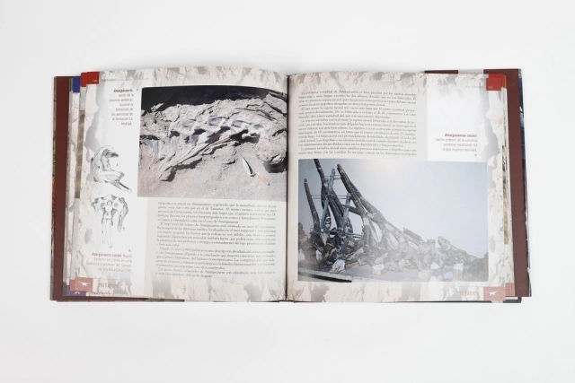 Dinosaurios - Editorial Albatros