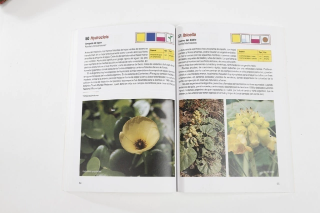 Cien flores argentinas en internet